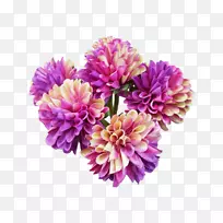 大丽花切花花束花型-空若网 大丽花切花花束花型-空若网