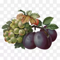 ��ͨ�������Ѽ�����-����-������