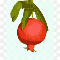 ʯ��֭�¸���˹ʳƷ-ʯ��-������