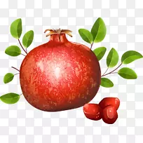 ʯ��-��Ѽ�����-ʯ��-������