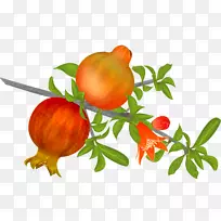 ʯ��ˮ����ʳ�����¸���˹����ʯ��-������