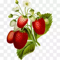 草莓奶油蛋糕食品剪贴画-草莓-空若网 草莓奶油蛋糕食品剪贴画-草莓-空若网