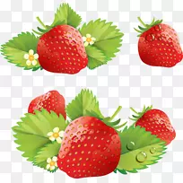 ��ݮ�ɶ̱�������-��ݮ-������