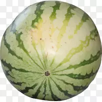 ���Ϲ�ʵ�����-����-������