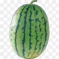 ��-����-������