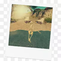 长颈鹿动物群摄影-长颈鹿-空若网 长颈鹿动物群摄影-长颈鹿-空若网