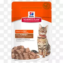 猫食猫科学饮食山宠物营养饲养宠物-空若网 猫食猫科学饮食山宠物营养饲养宠物-空若网