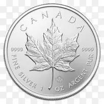 加拿大金枫叶金银银币-空若网 加拿大金枫叶金银银币-空若网