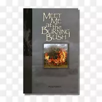 ��������-ȼ�յĹ�ľ��-������