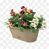 花卉设计花盆植物篱笆-可食用阳台花园-空若网 花卉设计花盆植物篱笆-可食用阳台花园-空若网