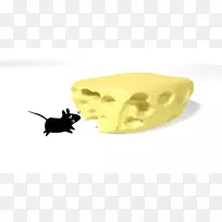 昆虫无脊椎动物传粉器-空若网 昆虫无脊椎动物传粉器-空若网