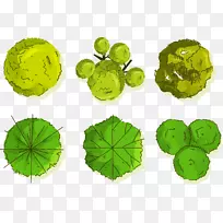 ����ľ-�����-������