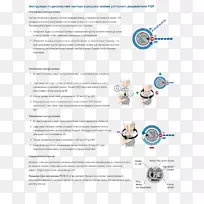 纸品设计字体线技术.调整-空若网 纸品设计字体线技术.调整-空若网