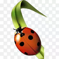 �����ߵ�ư������-������