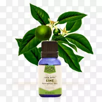 香精油橙佛手柑树-空若网 香精油橙佛手柑树-空若网