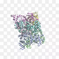 珠体珠宝字体短信.无氧光合作用-空若网 珠体珠宝字体短信.无氧光合作用-空若网