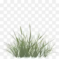 ����������Ʒ��ݴ�Ʋ��ʸЦ�-������