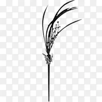 Í··¢·ÖÀàËã·¨À³ÀÊÀ½ç²ÝÖ鱦.Óð뻤Ŀ¾µ-¿ÕÈôÍø Í··¢·ÖÀàËã·¨À³ÀÊÀ½ç²ÝÖ鱦.Óð뻤Ŀ¾µ-¿ÕÈôÍø