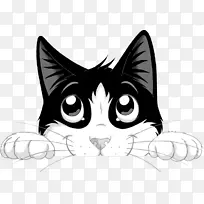 猫食费利克斯猫雀巢普丽娜宠物护理公司-猫-空若网 猫食费利克斯猫雀巢普丽娜宠物护理公司-猫-空若网