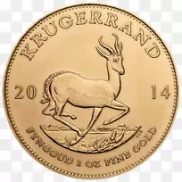 南非金币铸币薄荷-空若网 南非金币铸币薄荷-空若网