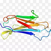 ��������Ʒ����߶���.��ԭ��ʾ��-������