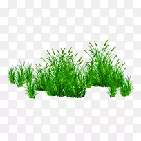 pngͼƬ�����ֽͼƬ�������ļ���ʽ-������