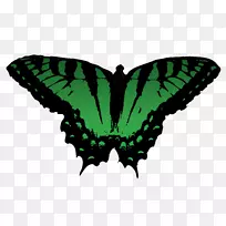 �������������-�������-������