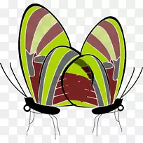 ������������������ˢ�ź���-������