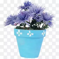 蓝色菊花切花-菊花-空若网 蓝色菊花切花-菊花-空若网