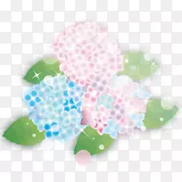 绣球花-空若网 绣球花-空若网