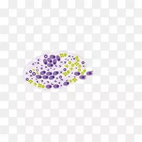 生物制药产品设计-空若网 生物制药产品设计-空若网