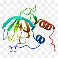 ������-pcolce����ǰ��ԭ��ø���뺬��-���ڰ�֢-������