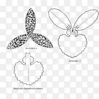 ֽ�ͻ�����֯�ﻨ�����-������