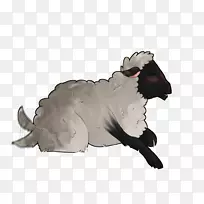 食肉动物,马,宠物鼻子-萨福克羊-空若网 食肉动物,马,宠物鼻子-萨福克羊-空若网