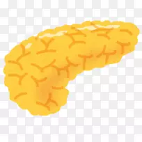 胰腺癌胰岛素糖尿病血糖体-空若网 胰腺癌胰岛素糖尿病血糖体-空若网