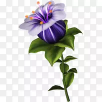 花束剪贴画图像花卉设计-紫色彩虹玫瑰花束-空若网 花束剪贴画图像花卉设计-紫色彩虹玫瑰花束-空若网