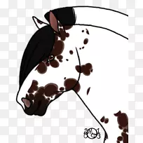 �����������洫����-Artemis�����ֽ-������