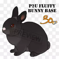 家养兔须鼻子-毛茸茸的兔子-空若网 家养兔须鼻子-毛茸茸的兔子-空若网