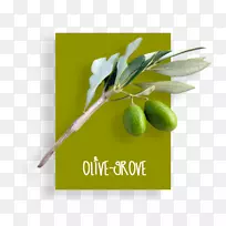 ����Ͳ�ƷƷ�������+m-�����-������