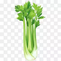 芹菜,蔬菜,艺术.西兰花-空若网 芹菜,蔬菜,艺术.西兰花-空若网