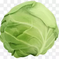 沙瓦卷心菜蔬菜卷心菜春菜-卷心菜-空若网 沙瓦卷心菜蔬菜卷心菜春菜-卷心菜-空若网