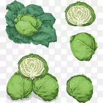 西沃伊卷心菜叶菜-卷心菜-空若网 西沃伊卷心菜叶菜-卷心菜-空若网