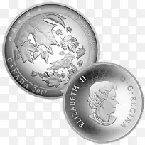 ���ô���Ҷ���ұ���Ҷ�׶�-������