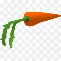 ºúÂܲ·¿¨Í¨Ö²Îï¼ôÌù»-ºúÂܲ·-¿ÕÈôÍø ºúÂܲ·¿¨Í¨Ö²Îï¼ôÌù»-ºúÂܲ·-¿ÕÈôÍø