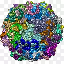 珠宝石紫电镜病毒-空若网 珠宝石紫电镜病毒-空若网