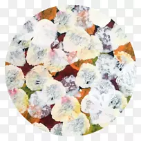 澳大利亚土著艺术绘画艺术家-澳大利亚土著艺术绘画-空若网 澳大利亚土著艺术绘画艺术家-澳大利亚土著艺术绘画-空若网