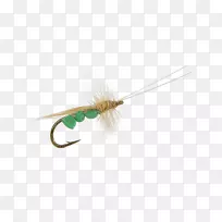昆虫翅膀人工飞蝇钓鱼干蝇-空若网 昆虫翅膀人工飞蝇钓鱼干蝇-空若网