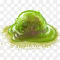 叶植物-黏液绘图-空若网 叶植物-黏液绘图-空若网