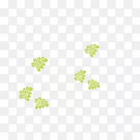 线条字体图案叶子开花植物-网球训练报价-空若网 线条字体图案叶子开花植物-网球训练报价-空若网