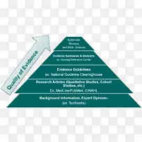 循证医学层次决策-空若网 循证医学层次决策-空若网